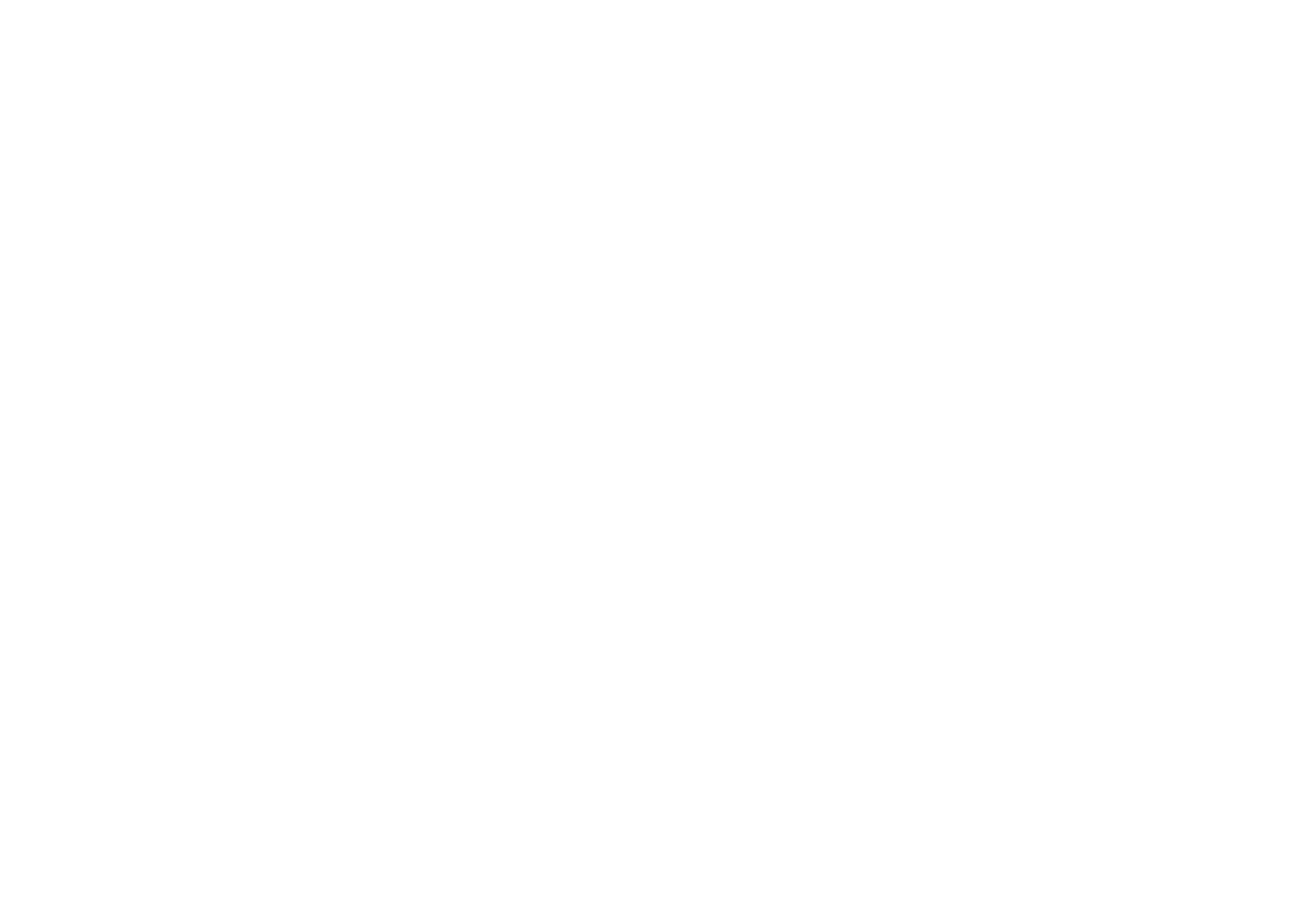 Brücke Business Partners